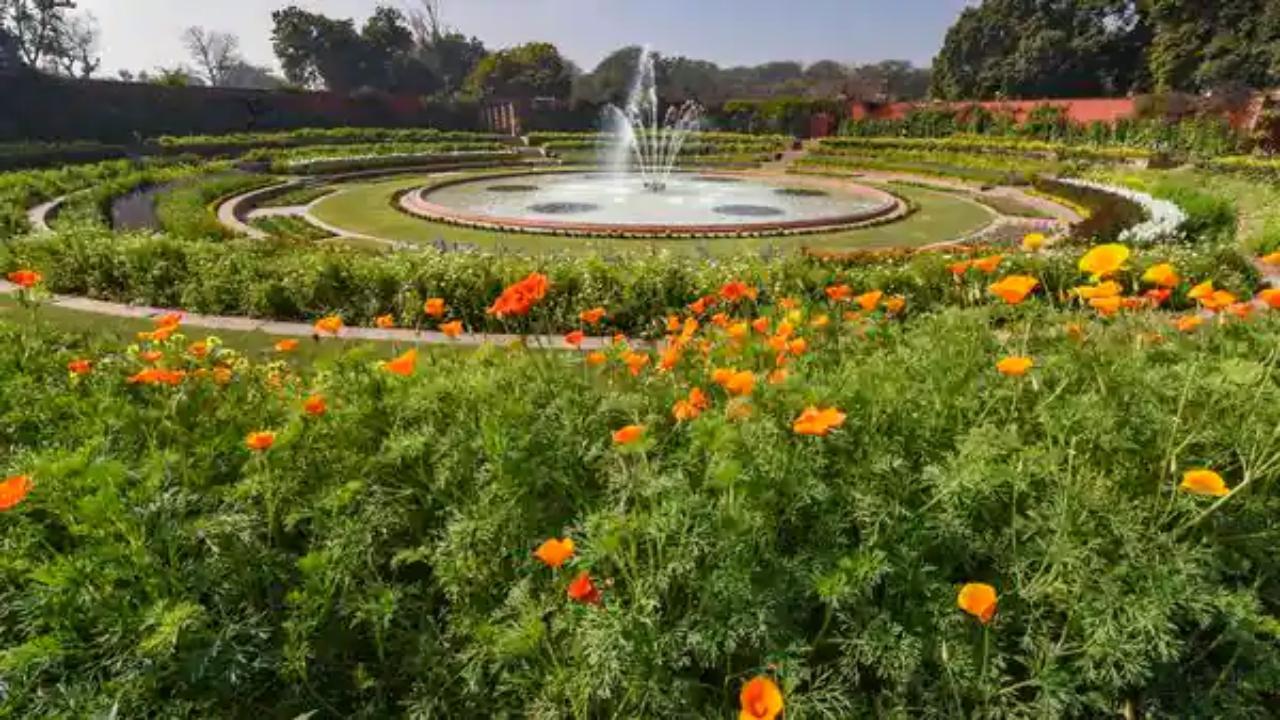 Rashtrapati Bhavan's Mughal Gardens renamed 'Amrit Udyan', to open for public from January 31